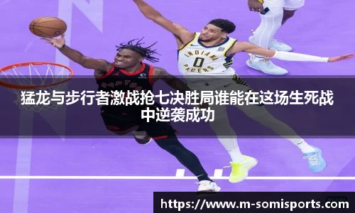 so米体育登录入口